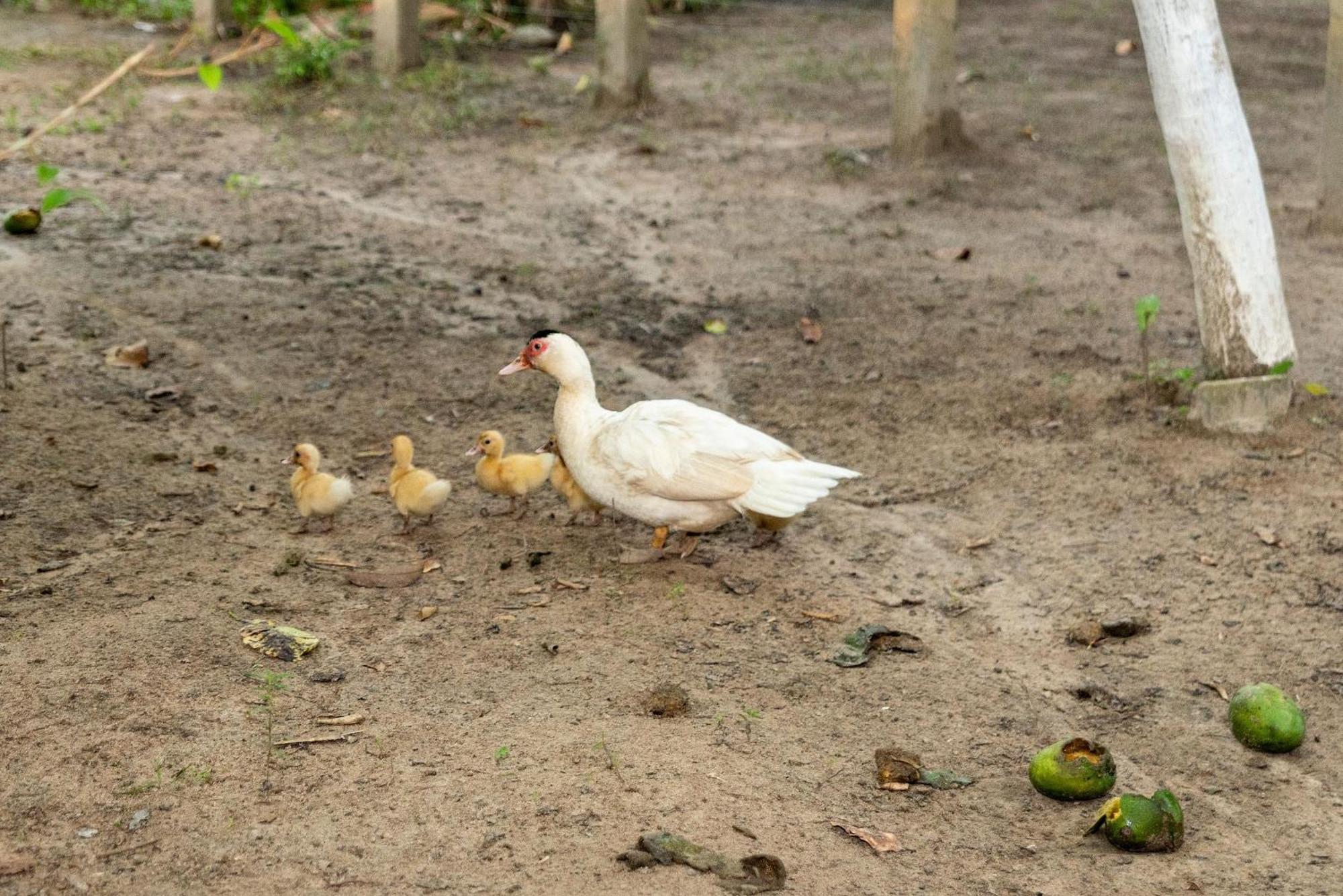 Chacara Shallon Recanto Em Sao Miguel dos Milagres